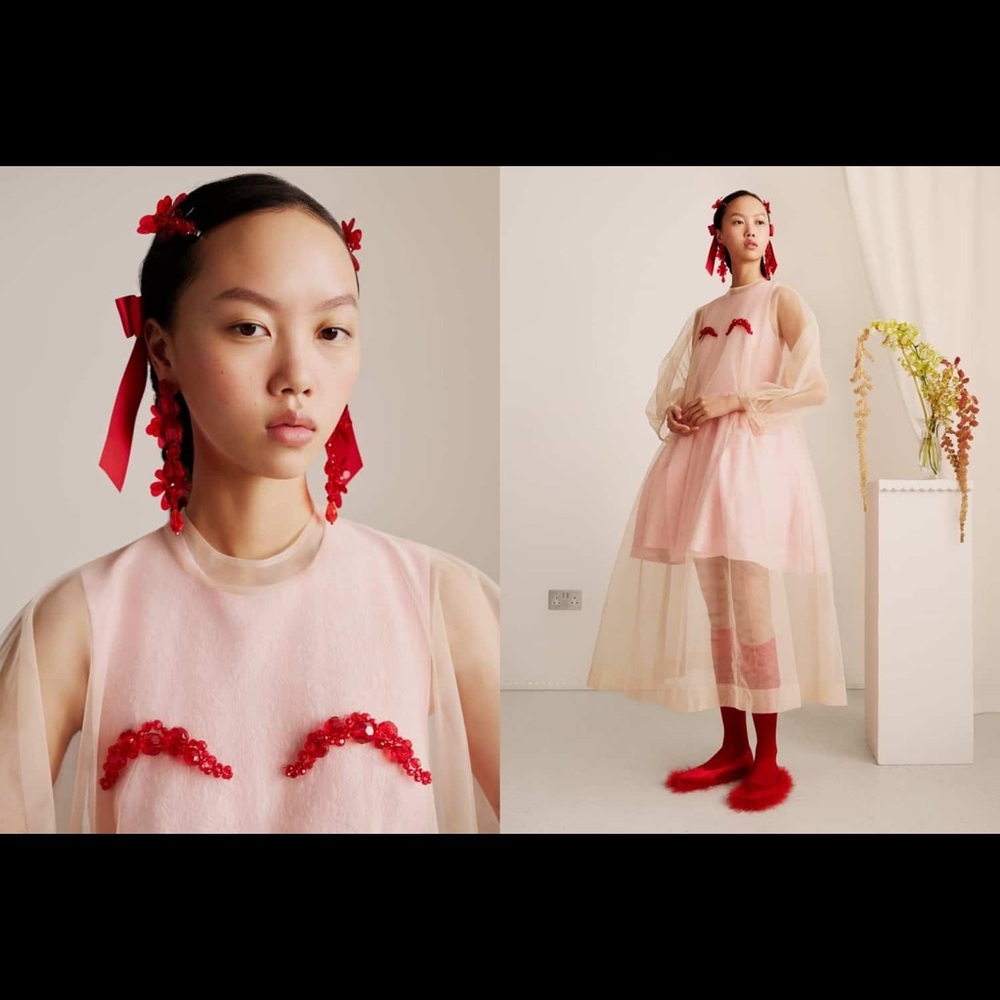 Simone Rochas x H&M sold out tulle dress size M